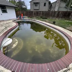 Neglected kidney pool with green water and brick coping before an Aloha cleanup and replaster