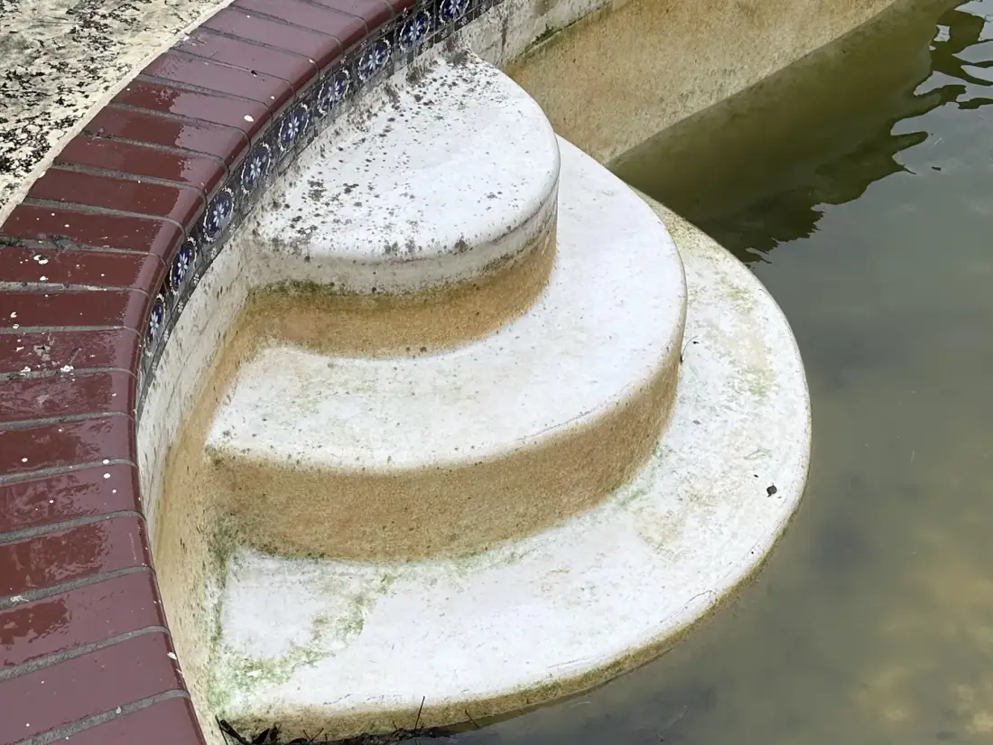 Pool entry steps before work, stained and algae-covered under cloudy water